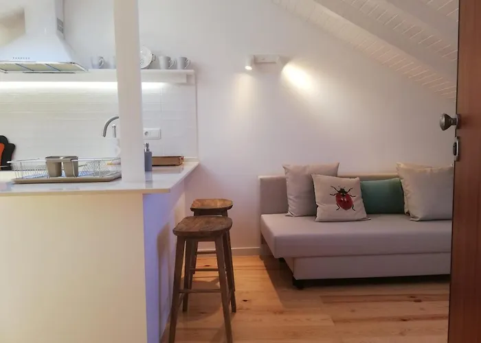 Apartment Martim Vaz - Rooftop *